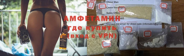 прущие грибы Абаза