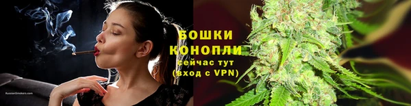 прущие грибы Абаза