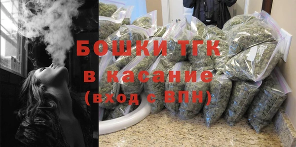 прущие грибы Абаза