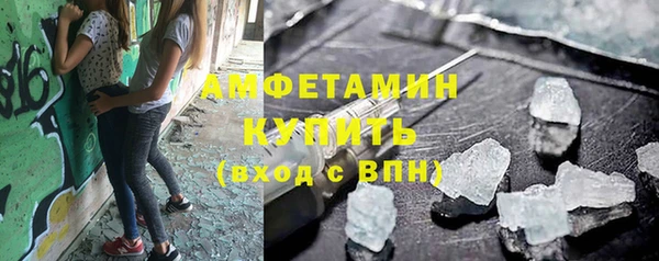 прущие грибы Абаза