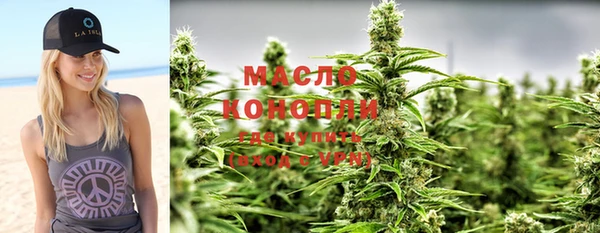 прущие грибы Абаза