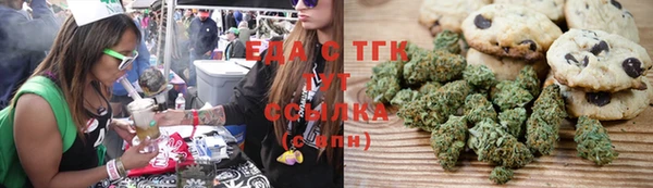 прущие грибы Абаза