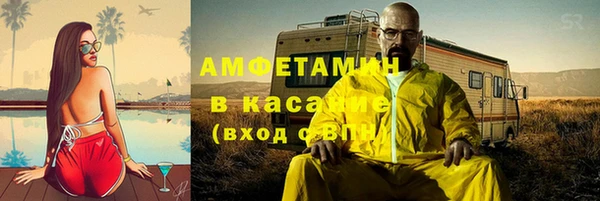 прущие грибы Абаза