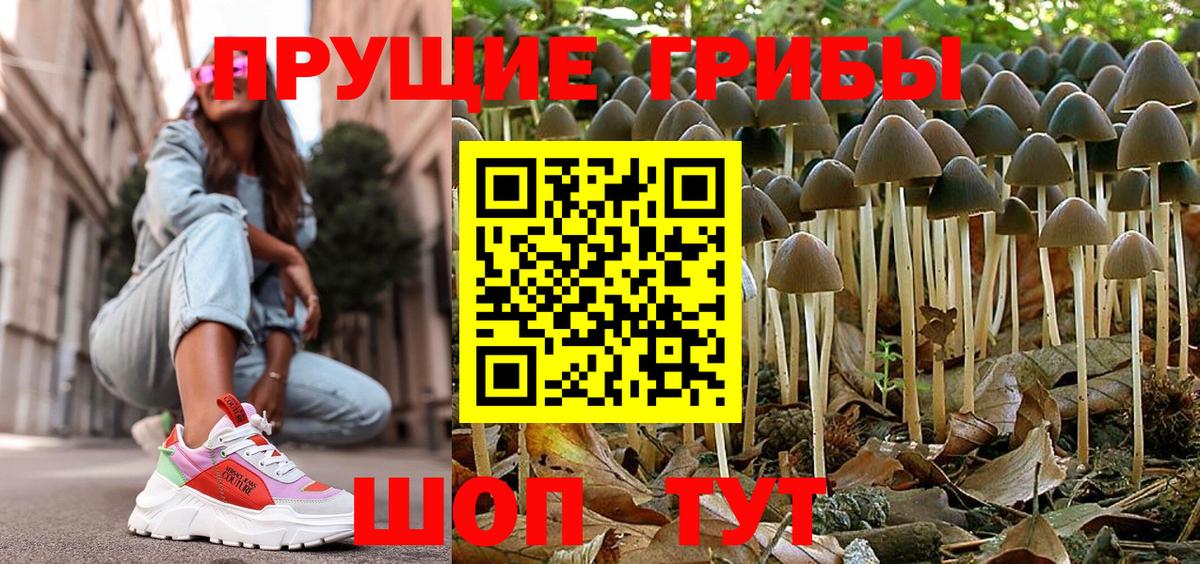 Псилоцибиновые грибы GOLDEN TEACHER Уфа